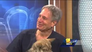 Pet Questions: Auto-immune disease issues