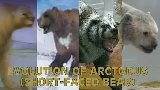 Evolution Of Arctodus (Short Faced Bear) In Paleo Media (FT. Arctotherium)