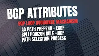 BGP Tutorial | BGP Attributes, path selection process | split horizon rule, AS path prepend process