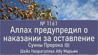 Аллах предупредил о наказании за оставление Сунны Пророка ﷺ