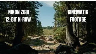 Nikon Z6III 12-Bit N-Raw Test Footage