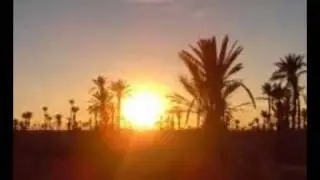 محمد الجموسي - معلوم