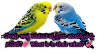 ನೀವು ಇಷ್ಟ ಪಡುವ ವ್ಯಕ್ತಿಯ ಮನಸ್ಸಿನಲ್ಲಿ ಏನಿದೆ?💞 What is in their mind? 💞