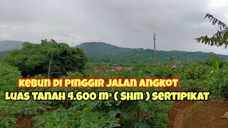 Jual Tanah Kebun Luas 4.600 M² Legalitas SHM Pinggir Jalan Raya Angkot Dekat Ke Jalan Nasional‼️