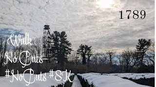 Grounded Suburbia 1789 Days &mdash; ASMR Snowwalking 8K