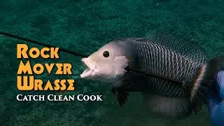 COOKED WITH SCALES ON! Rock Mover Wrasse - Catch and Cook - Spearfishing Hawaii