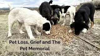 S1E12:  Pet Loss, Grief and The Pet Memorial | Harmony Fund | Laura Simpson