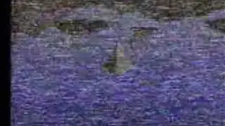 Images Du Futur 1988