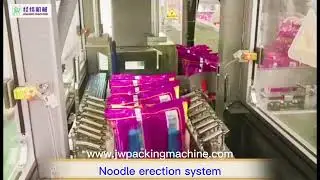 Automatic pillow bag product cartoning machine