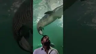 @marine world chavakkad