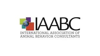 IAABC 2019 Conference LIVE Stream Loop Video