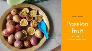 eating passionfruit vlog. the gift of summer days. #passionfruit #summer #2021
