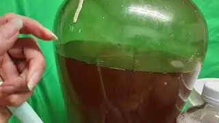 homemade kombucha with fermented strawberries. delicious all homemade.