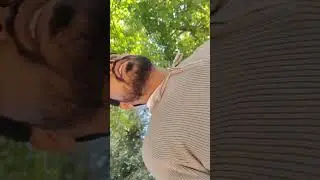 Day 28 Vlog,Maa k Mandir-2 #dailyvideo #vlog