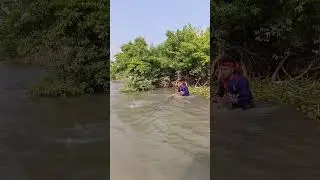 Amazing net Fishing Video #amazingfishing #nature1 #fishing #foryou #youtubeshorts #vrilshorts