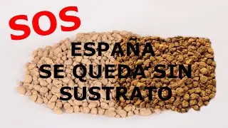Espa&ntilde;a se queda sin Akadama y Kiryuzuna 🆘