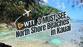 Three Must-See North Shore Beaches in Kauai!