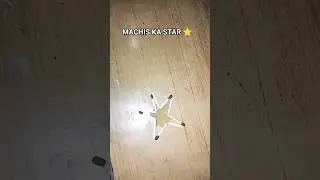MACHIS KA STAR ⭐ #shorts #viral #shortsfeed #youtube