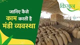 कैसे होता है कृषि उपज मंडी का संचालन ? I How Krishi Upaj Mandi Functions ? I Bhopal Krishi Mandi