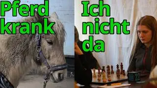 Tierarzt-Notfall 🚑 - darauf h&auml;tte ich verzichten k&ouml;nnen