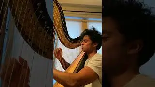 Harp Practice