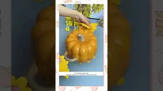 Product Link in Comments！ This value-added insulating mat, anti-scald and wear-resistant, sunflower