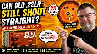 Can Old .22LR Still Shoot Straight? Eley Standard Accuracy Test! 🇬🇧