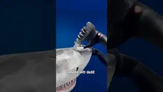 Preview 2 zack d films stuff v38 guinness world stuff v712 reversed