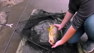Spillway Carp Fishing // episode 2