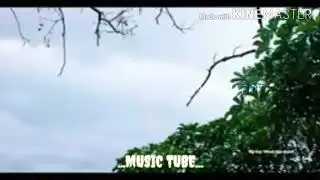 💗Nan kalamalam vala💗 song in💗💕 Tamil MUSIC 💕💗TUBE👍 please VIEWERS👍 subscribe👍 our channel👍