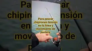 As&iacute; pesco yo los chipirones.  #pesca #eging #fishing #chipiron