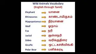 Wild Animals Vocabulary English through Tamil #learnenglish  #englishtotamil #tamiltoenglish