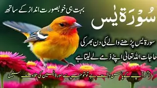 Surah Yasin (Yaseen) Full with Arabic text (HD) Translations||Omer HISHAM AL ARABI||ke tavalat Quran
