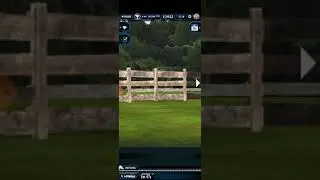 Preguntas frecuentes sobre el juego Horse Racing Manager.
