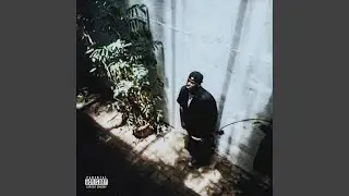 Insane (feat. Larry June)