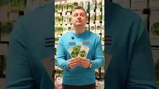 Лучше огурцов не найти! Вкусные, урожайные, плодоносят до морозов!