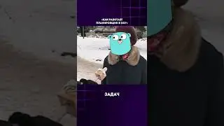 Собес в РУТУБ на GO