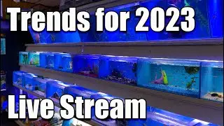 [LIVE] Fish Keeping Trends for 2023 + Q&A  - Bring Your Questions!