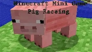 Minecraft Mini Game: Pig Race