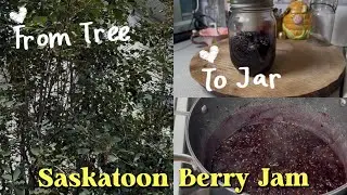 Delicious Saskatoon Berry Jam (small batch)