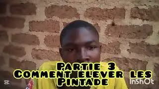 Voici comme commencer son &eacute;levage de poulet goliath avec 10 000  Universit&eacute; en Afrique 