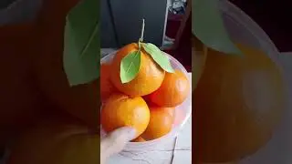 Только что с дерева? 🍊 Настоящая свежесть фруктов в Германии. #зима