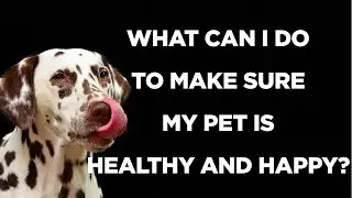 Healthy Pets, Happy Owners | The Ultimate Guide to Pet Health and Happiness.
