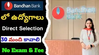 Bandhan Bank Hiring Freshers & Experience Candidate's| Latest Bank Jobs Telugu | Bank Jobs Telugu 