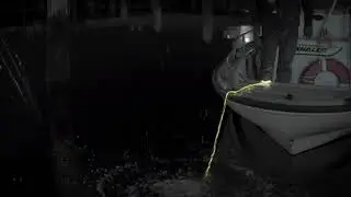 SLD Laser - FiberLight Underwater