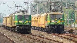 GREEN HORSE WAG-9 leading 02197 Coimbatore &ndash; Jabalpur Special through Konkan Railway🌴⚡️