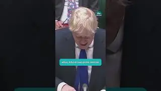 Woman's prison sentence shows 'free speech in Britain is ending', says Boris Johnson