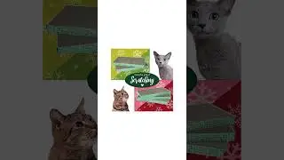 AMAZON TOP 3 CHEAPEST AND MOST POPULAR CAT SCRATHER BOARDS #shorts #amazonfinds #cats #catlovers