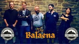 Bruach - The Balaena | Live Scottish Folk Music 2024