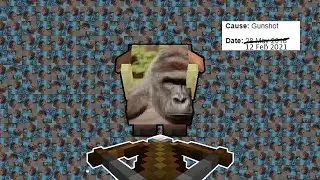the monkey pack | Caf&eacute; Infinity SMP #4